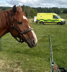 Dressage and Point to Point Dressage and Point to Point